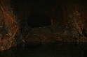 a 369
